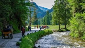 كيف أصنع جدول سياحي؟