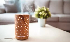 كيف أجعل ريحة البيت حلوة وثابتة