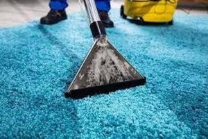 تنظيف السجاد بدون غسيل بمكونات من البيت