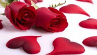 اجمل النصوص الأدبية القصيرة عن الحب والحياة