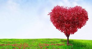 كلمات تمس القلب أرسلها لمن تحب؟