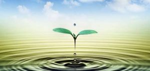 خواطر عن الحياة والحب