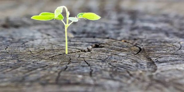 كلمات أدبية عن الأمل والتفاؤل