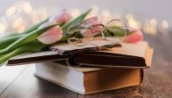نصوص أدبية قصيرة مكتوبة بأسلوب راق