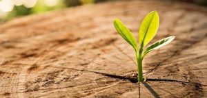 كلمات أدبية عن الأمل والتفاؤل