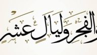 يستدل بقول الله تعالى والفجر وليال عشر على فضل شهر رمضان يستدل بقول الله تعالى والفجر وليال عشر على فضل شهر رمضان
